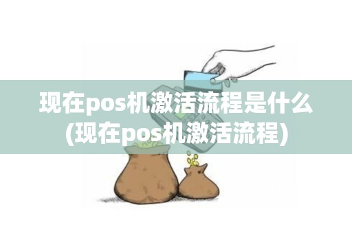 现在pos机激活流程是什么(现在pos机激活流程)
