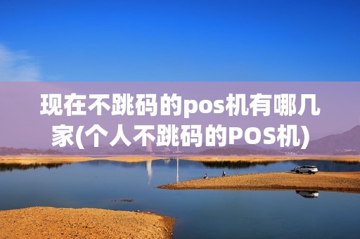 现在不跳码的pos机有哪几家(个人不跳码的POS机)