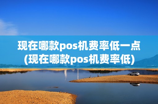 现在哪款pos机费率低一点(现在哪款pos机费率低)