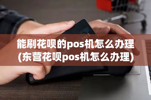 能刷花呗的pos机怎么办理(东营花呗pos机怎么办理)
