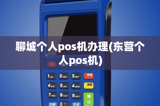 聊城个人pos机办理(东营个人pos机)