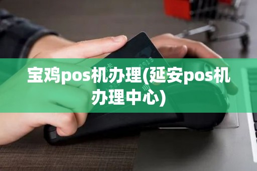 宝鸡pos机办理(延安pos机办理中心)