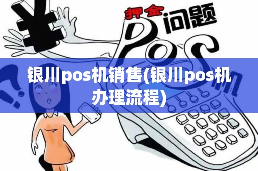 银川pos机销售(银川pos机办理流程)