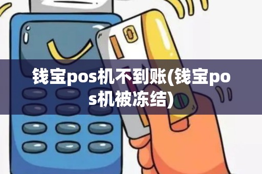 钱宝pos机不到账(钱宝pos机被冻结)