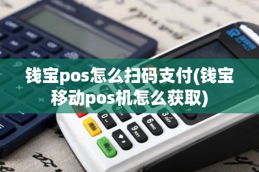 钱宝pos怎么扫码支付(钱宝移动pos机怎么获取)