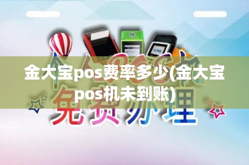 金大宝pos费率多少(金大宝pos机未到账)