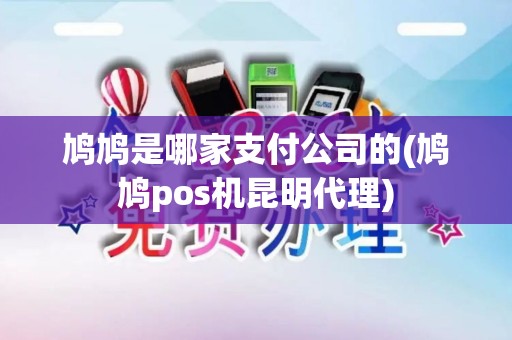 鸠鸠是哪家支付公司的(鸠鸠pos机昆明代理)