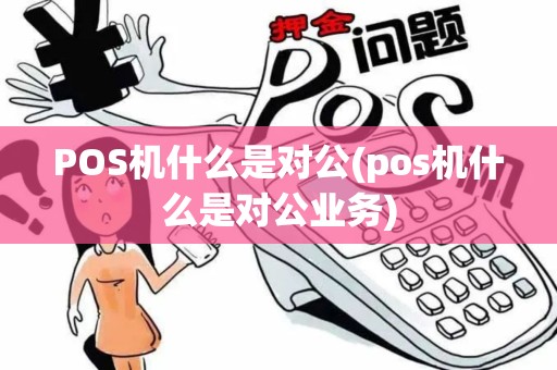 POS机什么是对公(pos机什么是对公业务)
