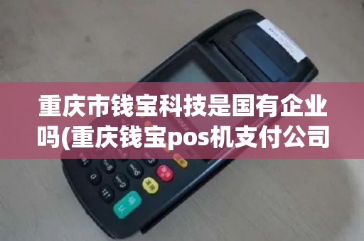 重庆市钱宝科技是国有企业吗(重庆钱宝pos机支付公司)