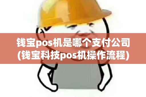 钱宝pos机是哪个支付公司(钱宝科技pos机操作流程)