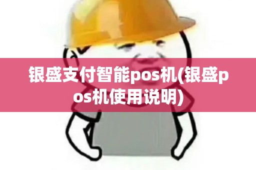 银盛支付智能pos机(银盛pos机使用说明)