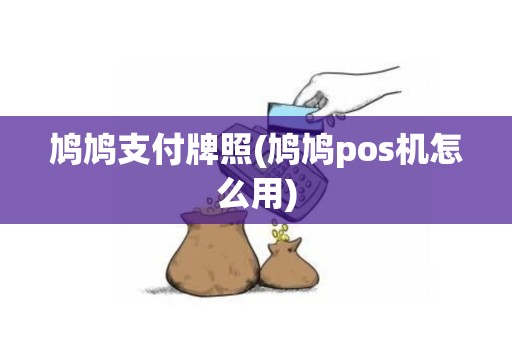 鸠鸠支付牌照(鸠鸠pos机怎么用)