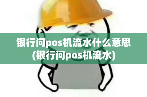 银行问pos机流水什么意思(银行问pos机流水)
