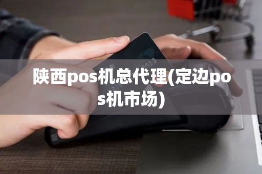 陕西pos机总代理(定边pos机市场)