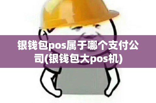 银钱包pos属于哪个支付公司(银钱包大pos机)