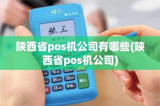 陕西省pos机公司有哪些(陕西省pos机公司)