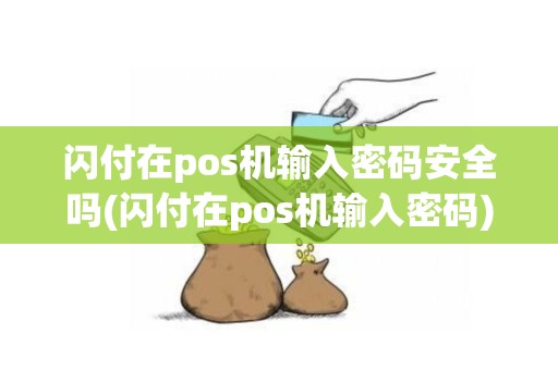 闪付在pos机输入密码安全吗(闪付在pos机输入密码)
