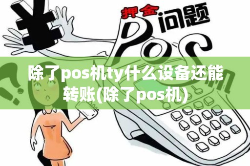 除了pos机ty什么设备还能转账(除了pos机)