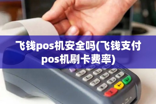 飞钱pos机安全吗(飞钱支付pos机刷卡费率)
