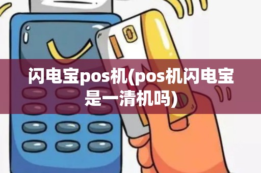 闪电宝pos机(pos机闪电宝是一清机吗)