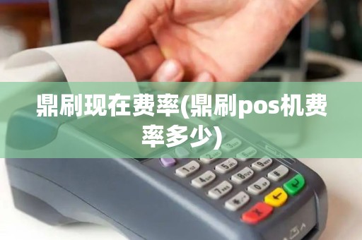 鼎刷现在费率(鼎刷pos机费率多少)