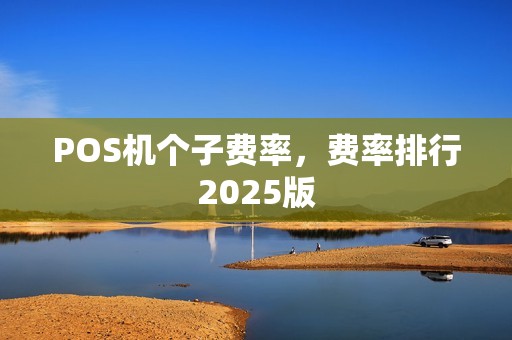 POS机个子费率，费率排行2025版