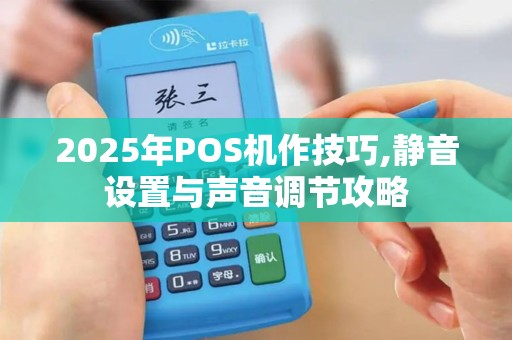 2025年POS机作技巧,静音设置与声音调节攻略