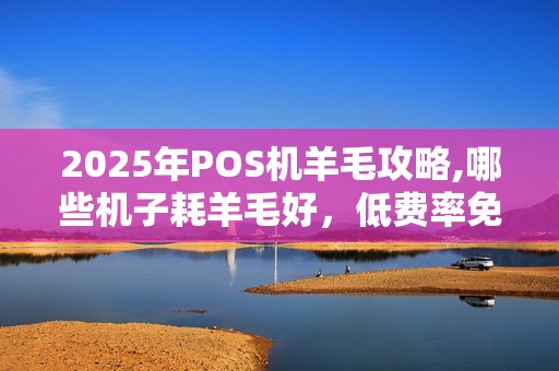 2025年POS机羊毛攻略,哪些机子耗羊毛好，低费率免手续费盘点