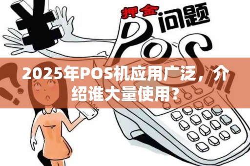 2025年POS机应用广泛，介绍谁大量使用？
