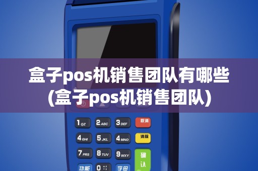 盒子pos机销售团队有哪些(盒子pos机销售团队)