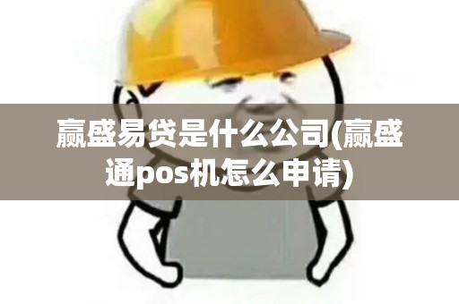 赢盛易贷是什么公司(赢盛通pos机怎么申请)