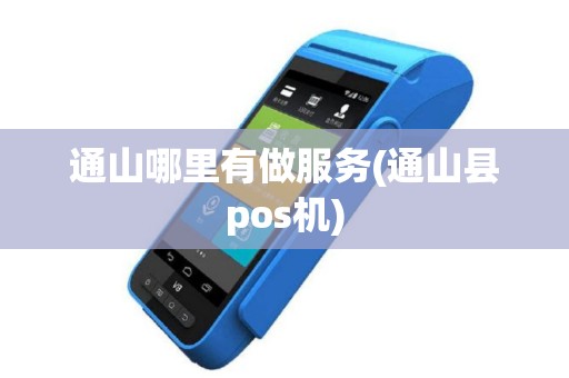 通山哪里有做服务(通山县pos机)