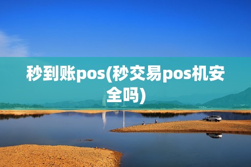 秒到账pos(秒交易pos机安全吗)