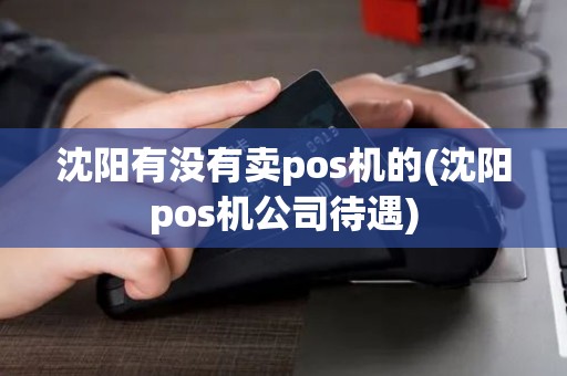 沈阳有没有卖pos机的(沈阳pos机公司待遇)