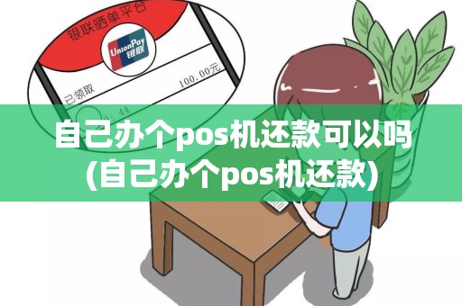 自己办个pos机还款可以吗(自己办个pos机还款)