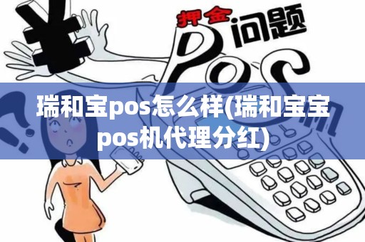 瑞和宝pos怎么样(瑞和宝宝pos机代理分红)