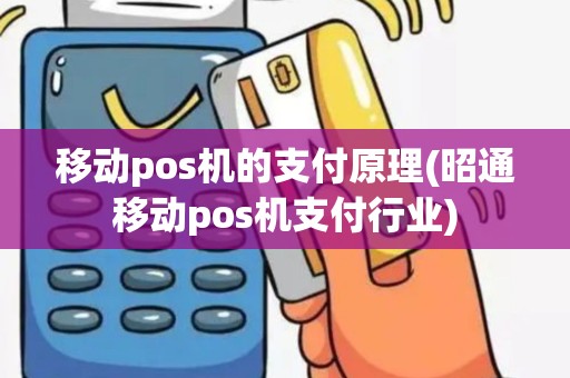 移动pos机的支付原理(昭通移动pos机支付行业)