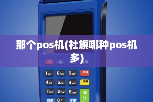 那个pos机(社旗哪种pos机多)