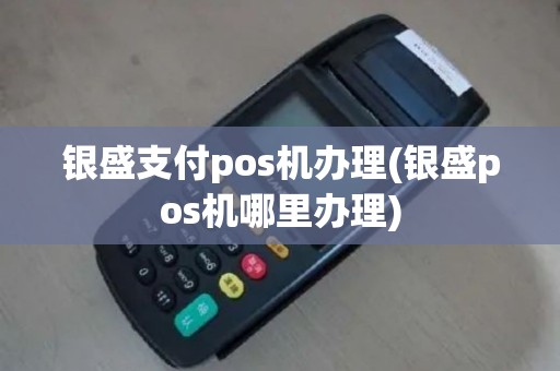 银盛支付pos机办理(银盛pos机哪里办理)