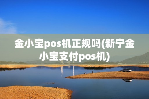 金小宝pos机正规吗(新宁金小宝支付pos机)