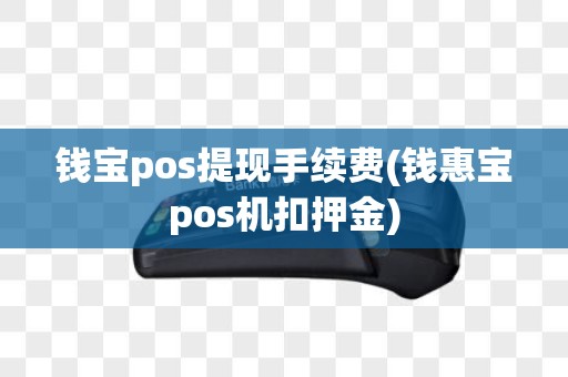 钱宝pos提现手续费(钱惠宝pos机扣押金)