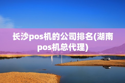 长沙pos机的公司排名(湖南pos机总代理)