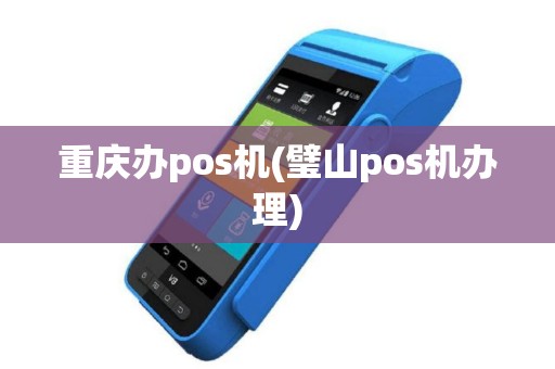 重庆办pos机(璧山pos机办理)