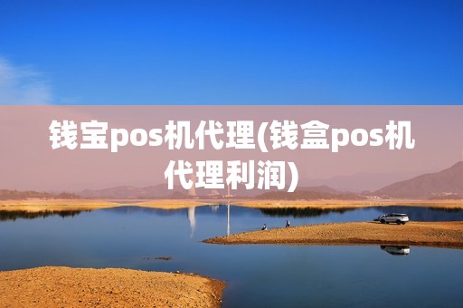 钱宝pos机代理(钱盒pos机代理利润)