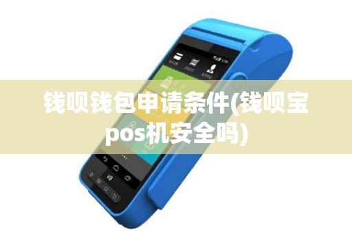钱呗钱包申请条件(钱呗宝pos机安全吗)