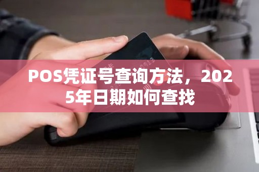 POS凭证号查询方法，2025年日期如何查找