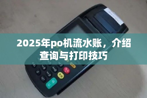 2025年po机流水账，介绍查询与打印技巧