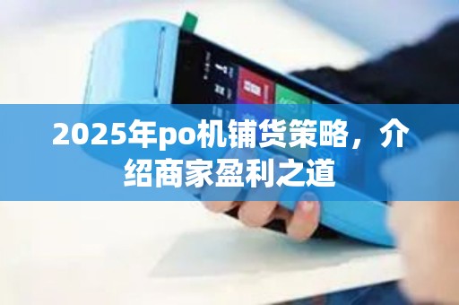 2025年po机铺货策略，介绍商家盈利之道