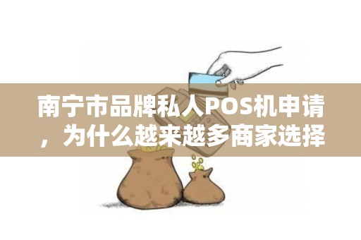 南宁市品牌私人POS机申请，为什么越来越多商家选择它？背后藏着这些秘密！