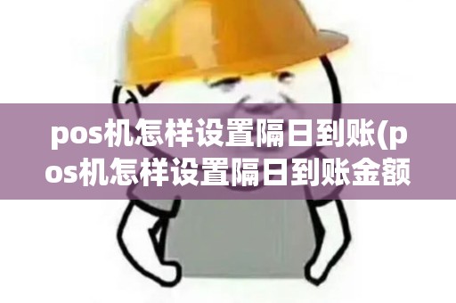 pos机怎样设置隔日到账(pos机怎样设置隔日到账金额)
